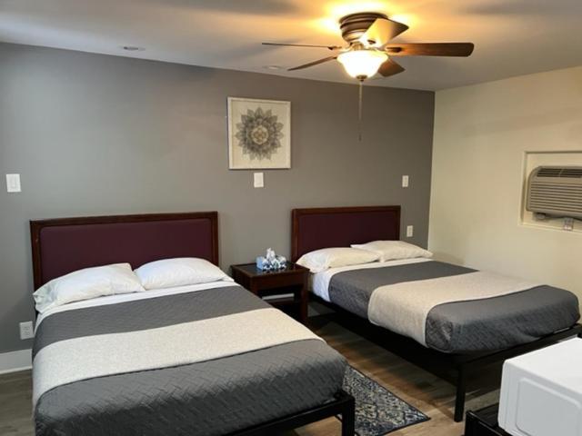 Camillus Nightshade Inn & Gardens מראה חיצוני תמונה